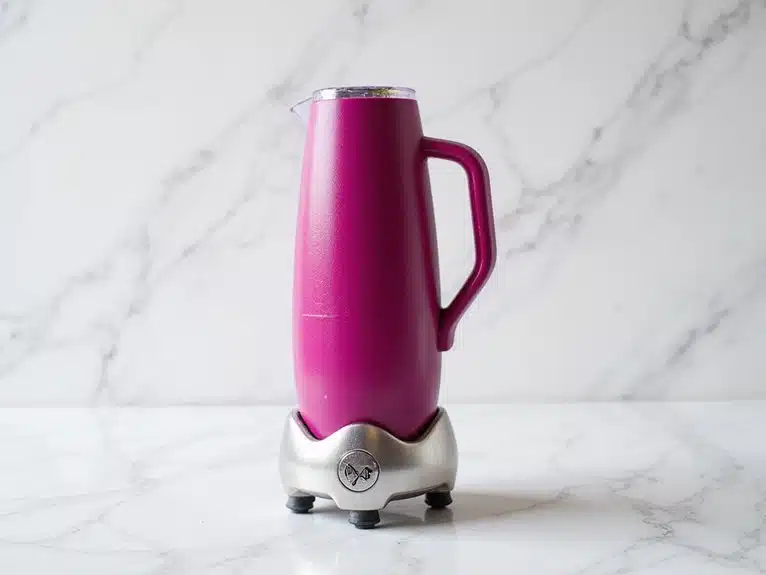tragbarer lebendiger Smoothie-Maker